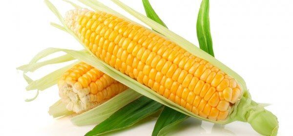 Wazy Maize is becoming increasing popular in the bodybuilding world.